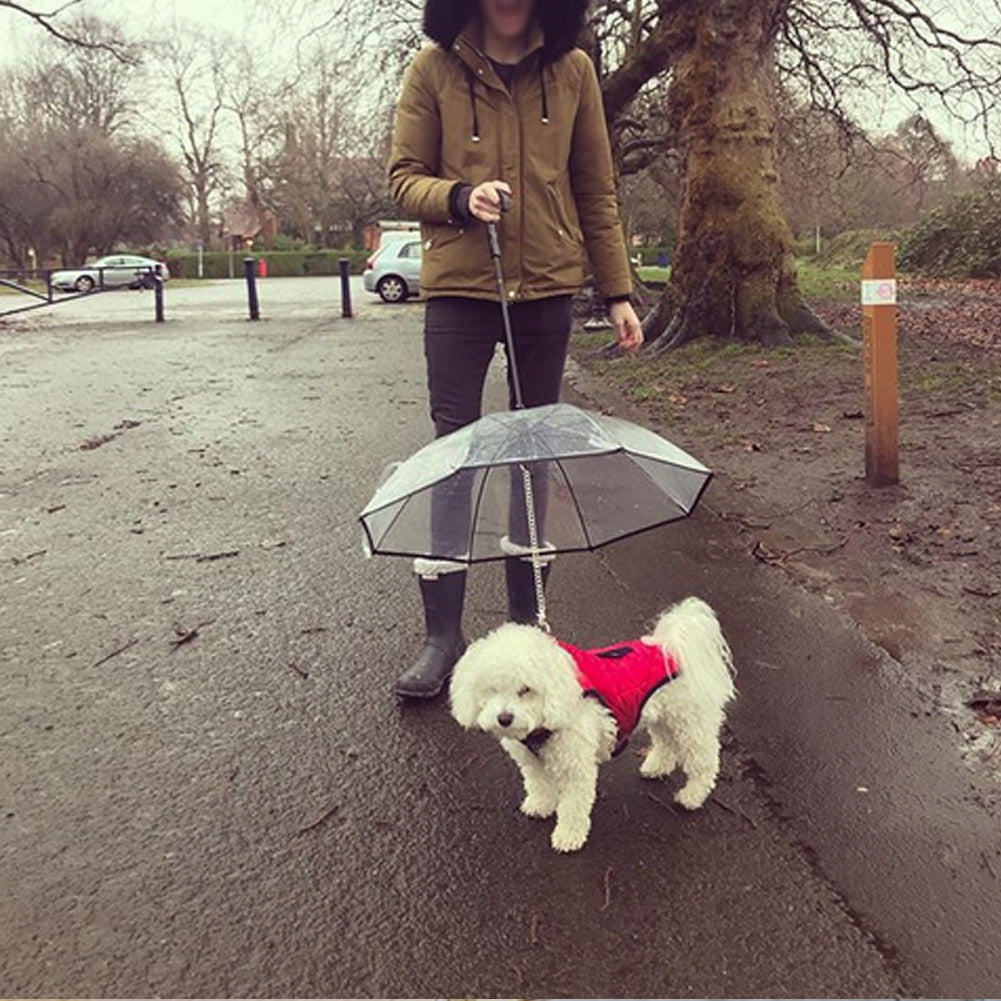 Dog's Umbrella With Traction Chain