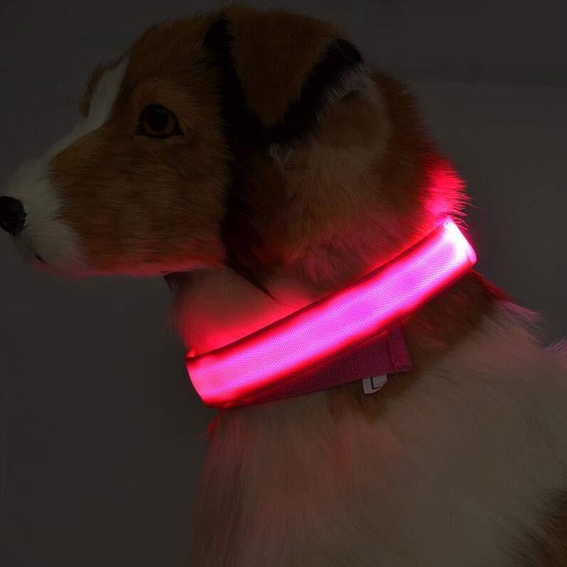LED Dog/Cat Luminous Collar Night Safety