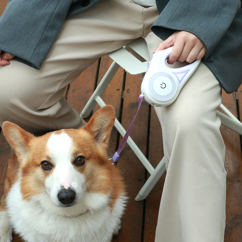 Dog Retractable Leash and Collar with Spotlight Automatic